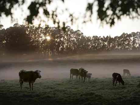 South African Midlands: Spas & Scenery